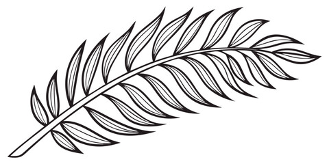 a simple hand-drawn sketch of a tropical palm frond with detailed veins isolated on white background.