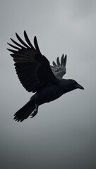 A photorealistic portrait featuring a black raven