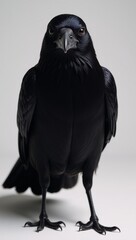 Digital art illustration featuring an ominous raven with a creepy supernatural atmosphere