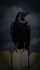 Dramatic image black raven on a spooky fence gothic style