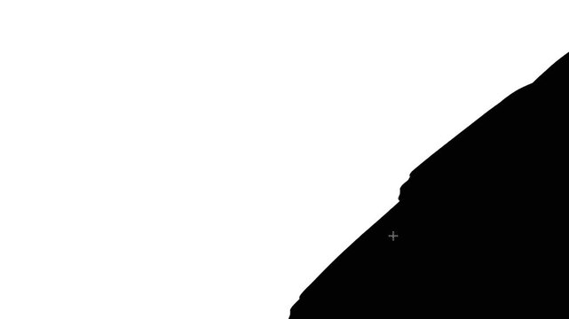 Transition black white brash effect 4k