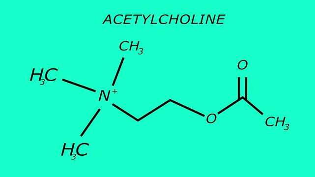 Abstract acetylcholine or ACH molecular structure symbol with a background animation 4k video.....