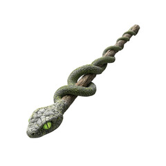 Green Snake Wrapped Around a Wooden Branch - Isolated on Black