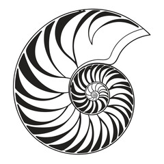 Floral Mandala Illustration: Layered Symmetrical Design. Black and White.