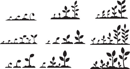 Black and White Plant Growth Stages: Stylized Seedling to Blooming Flower