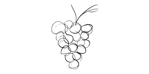 Abstract Grape Cluster Line Art Drawing on White Background Depicting Simplicity and Freshness for Wine or Food Concepts