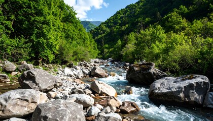 Mountain river flowing through lush forest