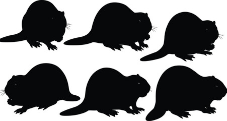 Flat vector illustration of beaver silhouettes, wild animal icons, nature wildlife design, river creature graphics, aquatic mammal shapes, outdoor forest fauna symbols