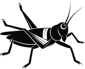 Grasshopper silhouette on white background
