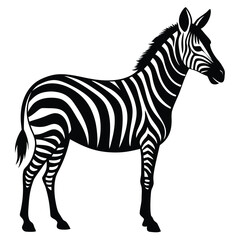 Black zebra silhouette on white background