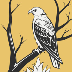Black and White Bird of Prey Illustration on Tree Branch