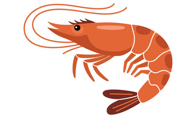 lobster on a white background