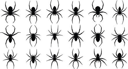 Spider silhouettes vector set, collection of black spider icons isolated on white background, Halloween insect design for print or web.