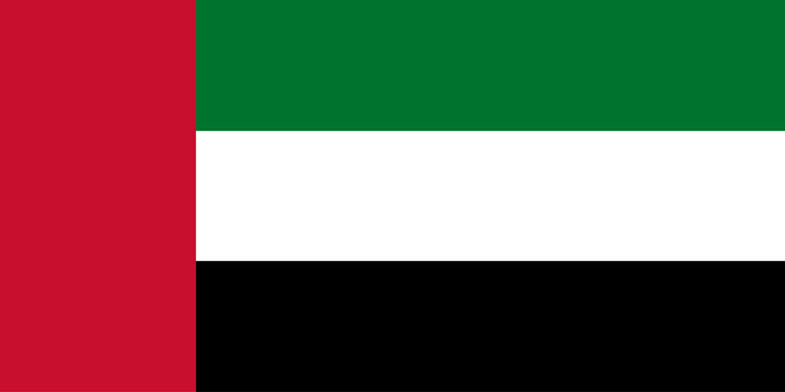 Flag of the United Arab Emirates, vector illustration.