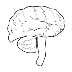 Human brain icon with editable stroke, Simple brain diagram illustration