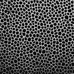 Abstract black and white reptile skin texture seamless pattern vector background for print and design