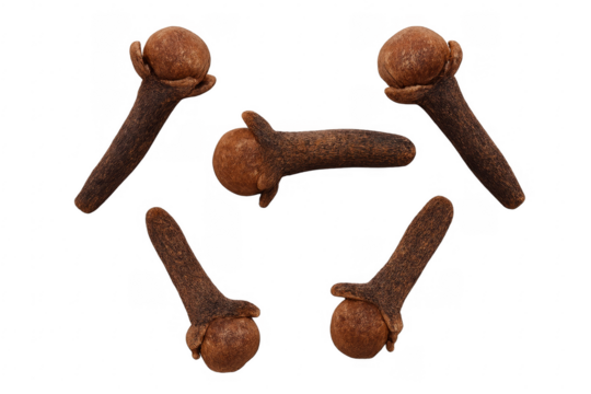 Five dried cloves falling on transparent background