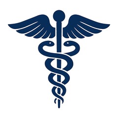 Perfect Caduceus Flat Logo Design for Medical Branding