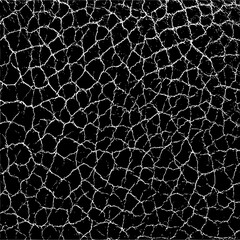 Fototapeta premium Download high resolution cracked texture vector background for graphic design and web design projects now