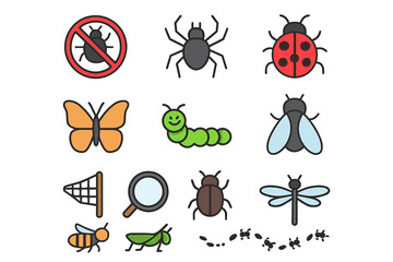 Fototapeta premium Insect collection: bug, spider, ladybug, butterfly, caterpillar, fly, grasshopper