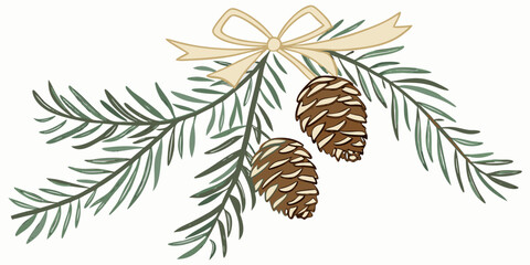 festive pine branches with pinecones tied with cream ribbon bow winter botanical illustration design and isolated on white background.