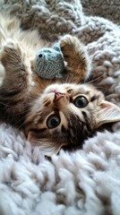 Obraz premium Adorable Kitten Cuddling Knitted Toy on Fluffy Blanket