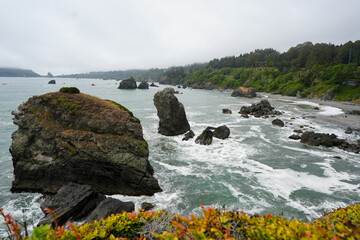 rocky coast of humboldt county