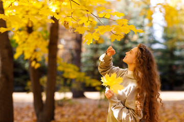 Smiling young woman touching the autumn leaves on maple tree in the forest
