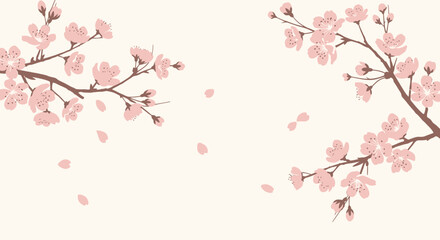 Fototapeta premium Delicate Cherry Blossoms Branches Elegant Floral Arrangement Background Spring Design