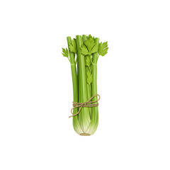Fresh celery stalk bundle healthy organic vegetable isolated on white background