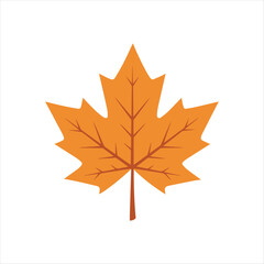 A Solitary Maple Leaf in Autumn Hues A Symbolic Depiction of Fall's Arrival and Natural Beauty