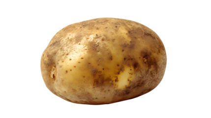 Naturally grown Russet potato showcasing earthy texture and healthy organic appeal, perfect for culinary inspiration and farm-to-table concepts.