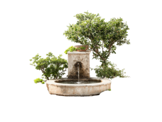Antique circular stone fountain with a water spout surrounded by vibrant green plants and a small tree.