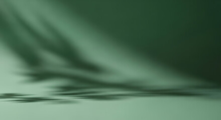 Obraz premium Soft Green Background with Blurred Shadows image photo