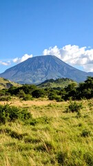 Fototapeta premium Lush Savanna Meets Volcanic Peak