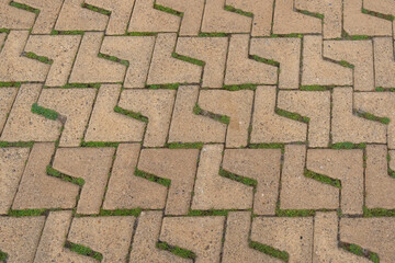 Textured paving stones with green grass growing in between, showcasing a unique zigzag pattern and...