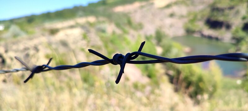 barbed wire fence
