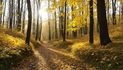 Obraz premium Golden Autumn Forest Path with Sunlit Leaves
