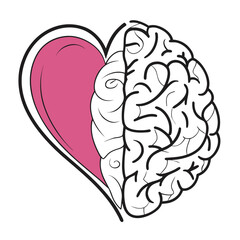 Fototapeta premium Heart and brain combination symbolizing emotion and logic isolated on transparent background