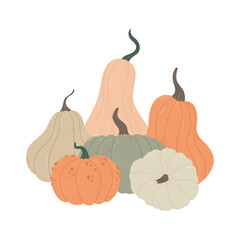 Hand drawn pumpkin. Autumn harvest decorative gourds