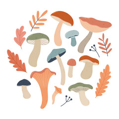 Autumn composition of mushrooms and leaves in soft autumn colors. Hand drawn edible and wild mushrooms, autumn leaves and berries on a white background.