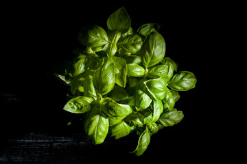 basil  leaves  on black background top view