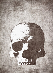 Distressed Skull Silhouette on Textured Paper