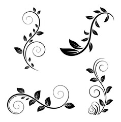 Black floral swirls and leaves decorative elements leaf vine © Sultana