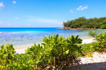 Tropical beach scene with turquoise water, lush green vegetation, and blue sky