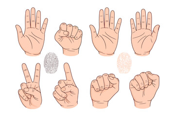 Diverse hand gestures and unique fingerprints representing individuality identification and communication in a clean and minimalist style