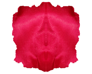 Red Linen Fabric with Torn Edges, High Resolution Textile Texture Elements for Digital Design and Background Use.