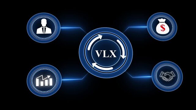 VLX Innovative Video Campaigns for Growth-Oriented Brands&mdash;Brand Identity, Audience Signals, Conversion