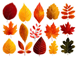 Fototapeta premium Autumn leaves. A set of different leaves of maple, oak and other trees. Autumn decoration in flat style. Yellow, red, orange fall leaf for pattern, banner, sticker. Hello autumn.