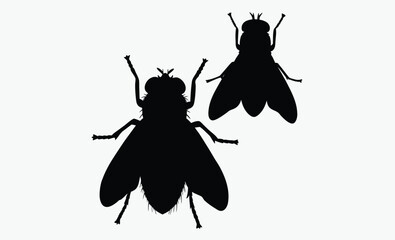 Fly silhouette, insect vector, winged bug icon, black pest illustration, Fly Icon Silhouette Vector Illustration On White Background. Fly vector icon on white background.